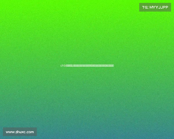 chbl河北赛区;河北赛事公司专业承办大型体育文化活动推动华北运动产业发展